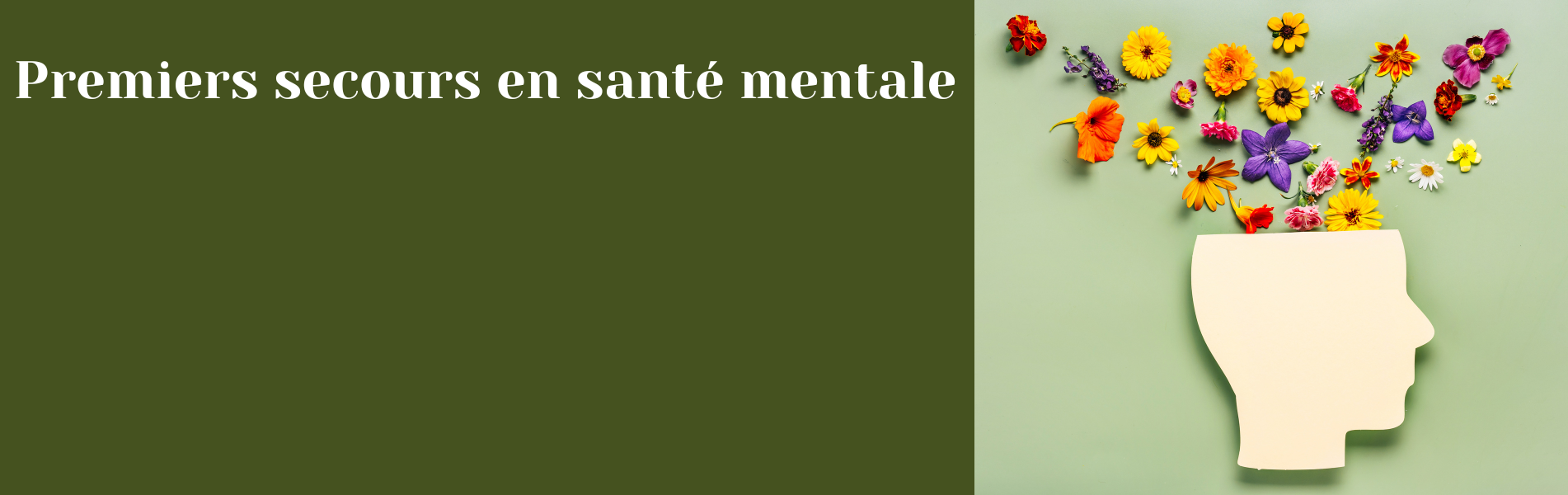 Formation formateur d'adultes vendée mfr reconversion compétences